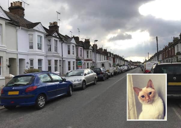 Henry the cat (inset) was killed in Becket Road on Saturday