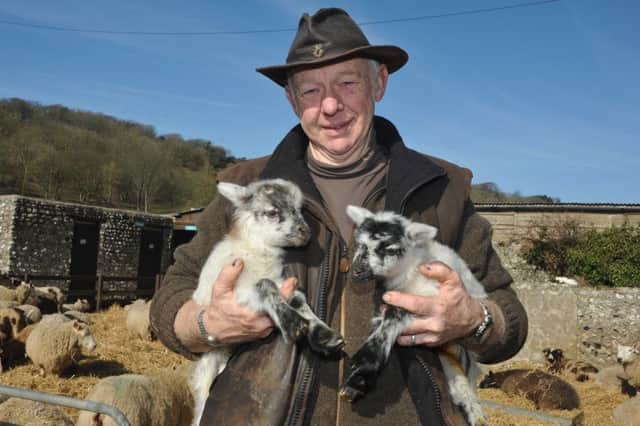 Terry Wigmore pictured in 2012 with two orphaned lambs which were found by walkers on the downs