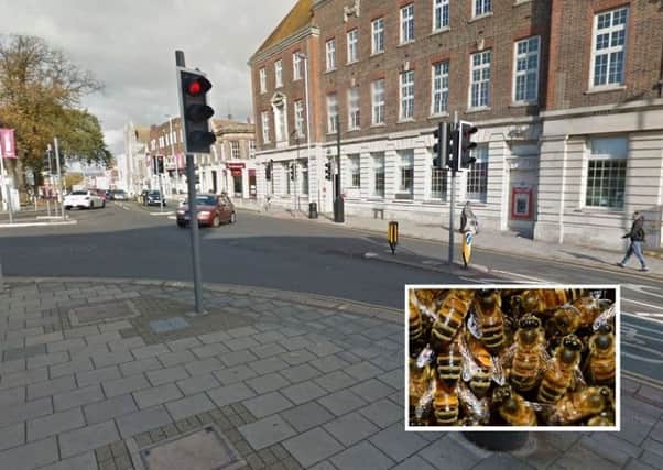 The swarm was spotted at the Chapel Road traffic lights on Saturday. Picture: Google Maps/Google Streetview