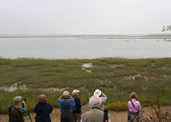 The society peers out across Pagham Harbour SUS-140922-201858001