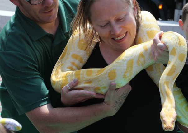 RepTylers introduced shoppers in Worthing town centre to a variety of exotic creatures, including this baby albino python called Pandora. Picture: Eddie Mitchell