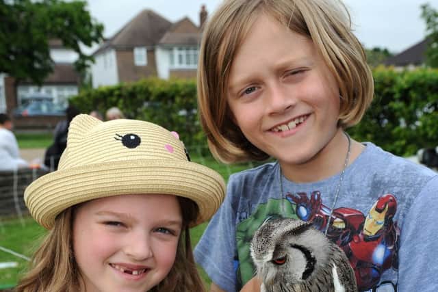 Children enjoying the wildlife event at last year's festival. Picture: Steve Robards