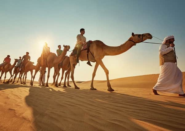 A camel train