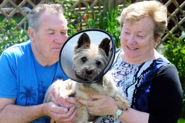 Dianne and Tony with Poppy on the mend after the attack