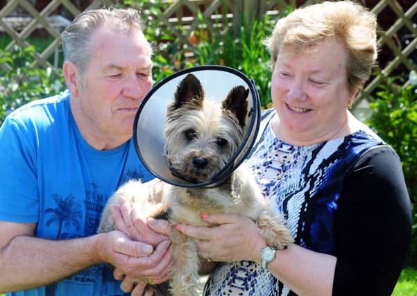 Dianne and Tony with Poppy on the mend after the attack