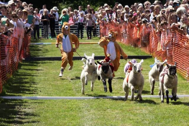 Children taking part in the sheep-racing event. Photo by Ron Hill.