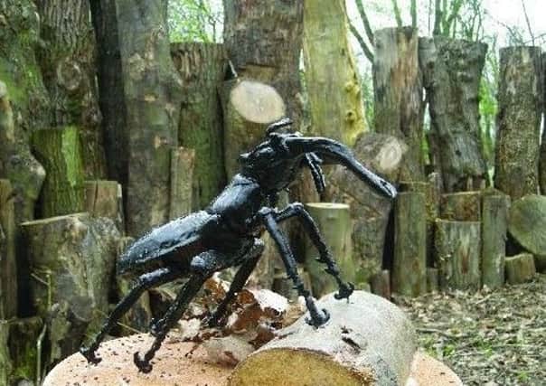 This loggery is an ultimate home for a stag beetle (pictured with a model of a beetle)