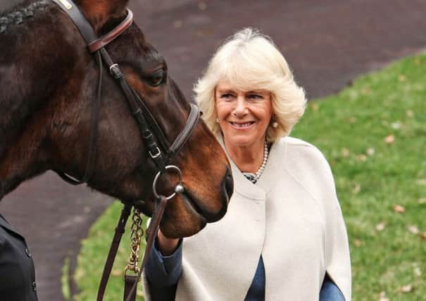 The Duchess of Cornwall will be visiting the South of England Show in Ardingly, Clarence House has announced today (May 25). Picture: Jennifer Munson Photography