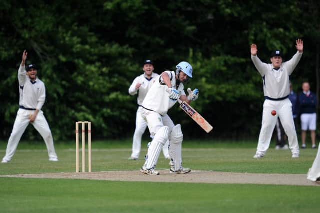 cricket: Ansty (batting)  v Roffey. Jake Wilson. Pic Steve Robards SR1712063 SUS-170529-172511001