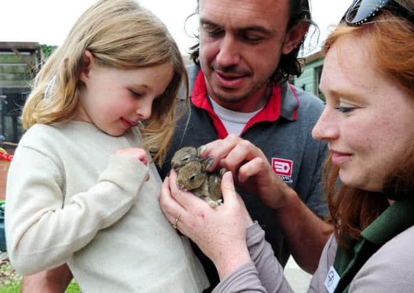 Animal care manager Emma Pink with Max Powell and his daughter Bertie. Picture: Kate Shemilt ks170936-4
