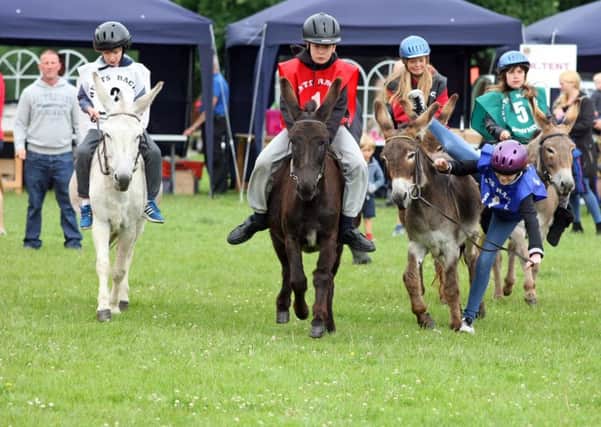 Last year's Donkey Derby organised by Adur East Lions. Picture: Derek Martin DM16123648a