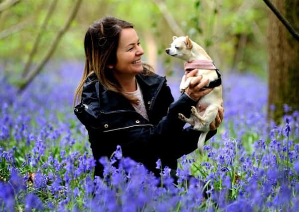 A Sussex spring day - Naomi Dean and her dog Bella among the bluebells.  Pic Steve Robards