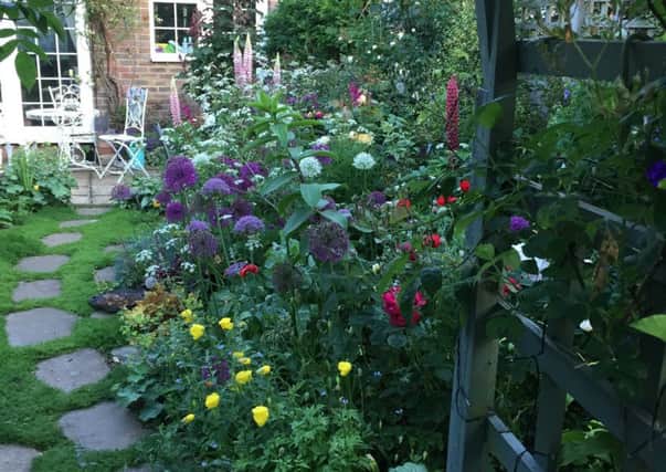 Jill Canavans lovely courtyard garden in The Meadows