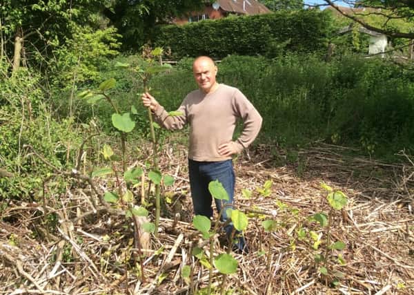 Mark Radford with some of the Japanese knotweed growing near his home SUS-170106-153954001