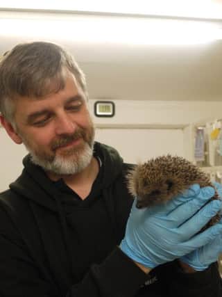 Wildlife rescuer Trevor Weeks with hedgehog SUS-161214-163455001
