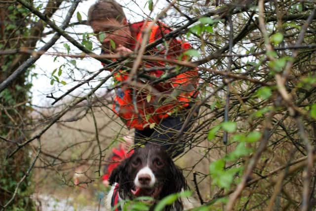 Lowland Search Dogs Sussex