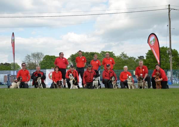 Lowland Search Dogs Sussex. Picture by Archie Tipplel