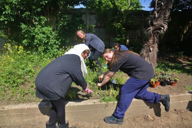 Team leader Helen Bowler with volunteer Aysha Miah and  assistant leader Amy Kilpatrick working at the greenhouse in Alexandra Park. Photo by Colin Foy SUS-170306-102134001