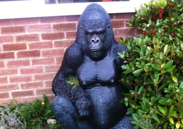 This life-size gorilla statue was reportedly stolen from a front garden in Cedar Drive. 05-06-17.