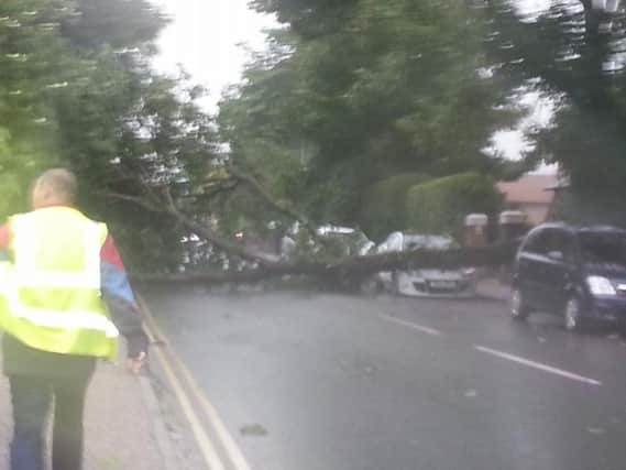 Eastbourne tree down..... SUS-170606-091741001
