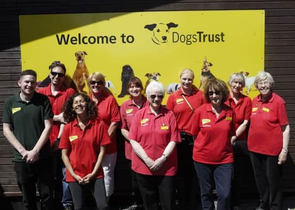Dogs Trust Shoreham's herd of hound helpers