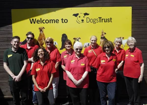 Dogs Trust Shoreham's herd of hound helpers