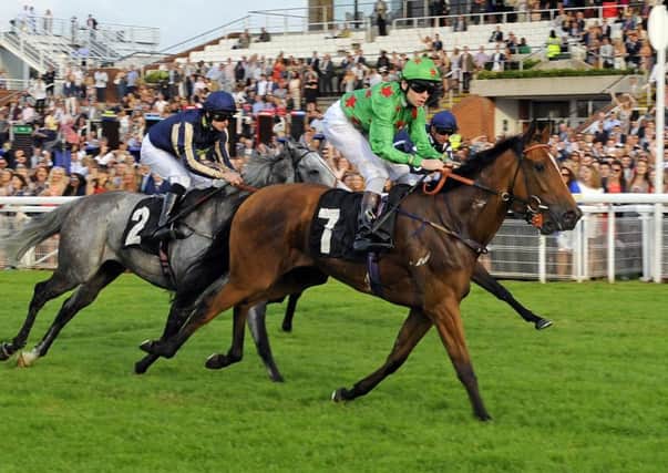 Angel of Darkness wins at Goodwood at the first TFN fixture / Picture by Malcolm Wells