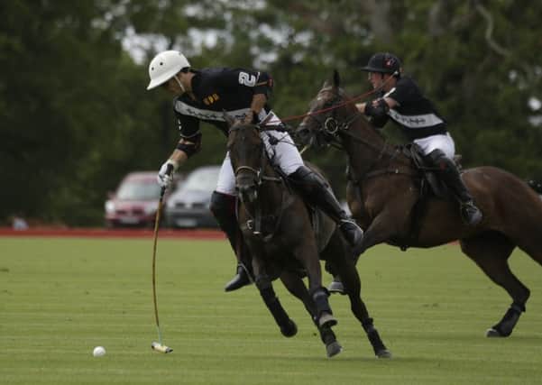 Cowdray Park is the setting for Sunset Polo / Picture by Clive Bennett
