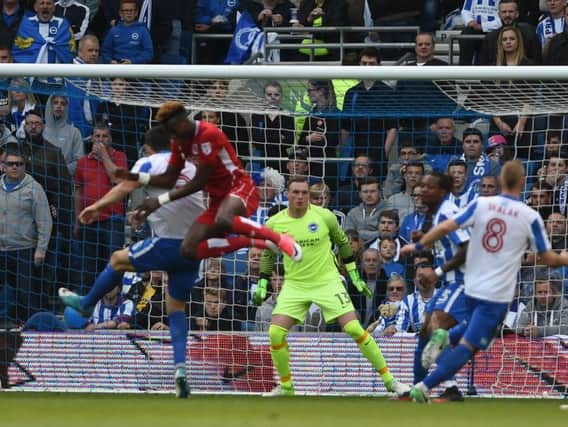 Tammy Abraham in action against Brighton for Bristol City in April. Picture by PW Sporting Photography