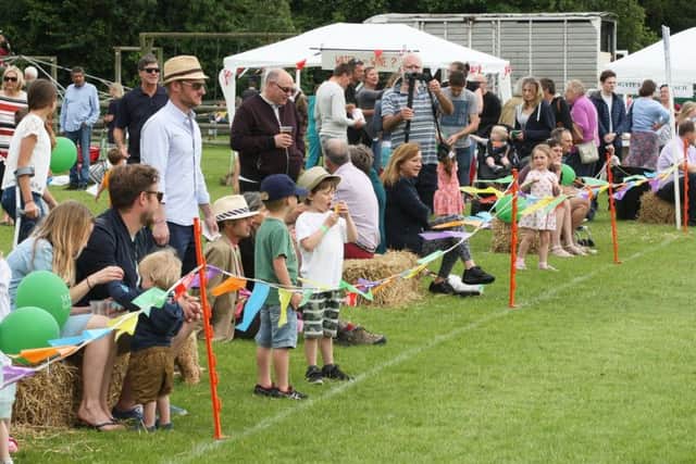 Watching the fun at the Rogate village fete                Picture: DM17627975a