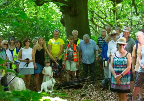 Walkers gathered in the ancient woodland to see what could be harmed by an A27 bypass. Pictures: Boyd Norton