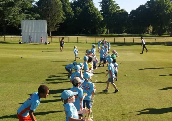 All-Stars action hosted by Chichester Priory Park