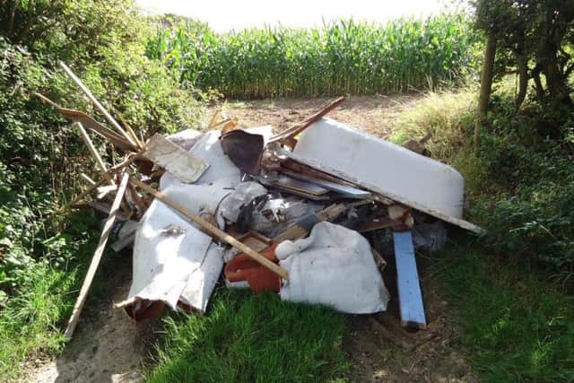 The fly-tipping in Priory Road, Michelham