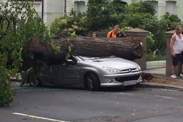 The fallen tree on a car in Stanford Avenue, Brighton (Photograph: Tom from Burntaxe)