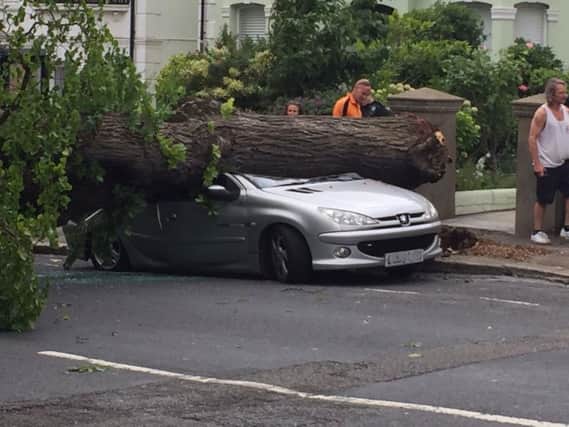 The fallen tree on a car in Stanford Avenue, Brighton (Photograph: Tom from Burntaxe)