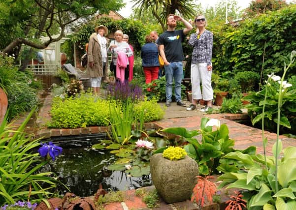 Visitors at last year's Ambrose Place Hidden Back Gardens. Picture: Kevin Shaw KS0002C