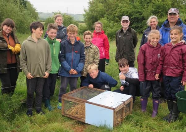 Pupils from Great Ballard School join South Downs rangers to help release water voles. Picture: South Downs National Park