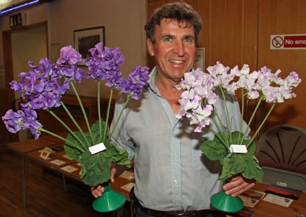 Jeffrey Haine with some of his cup-winning sweet peas