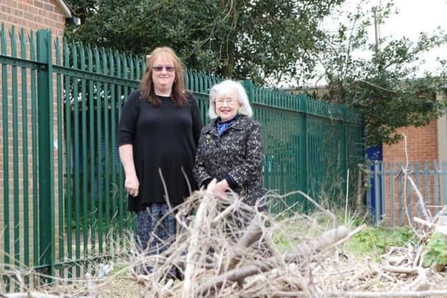 Sue Sula, chairman of the Brookside Memorial Garden Community Group, and historian Mary Taylor at the memorial garden site next to the Brookside Industrial Estate in Rustington SUS-170205-111042001