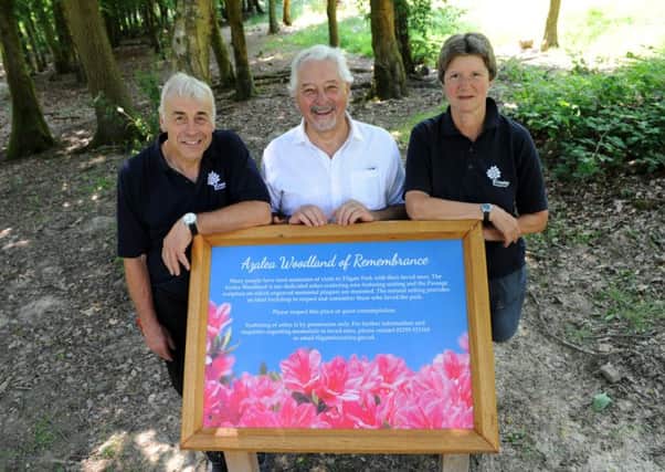 Opening of the Azalea Woodland of Remembrance in Tilgate Park. Picture: Jon Rigby