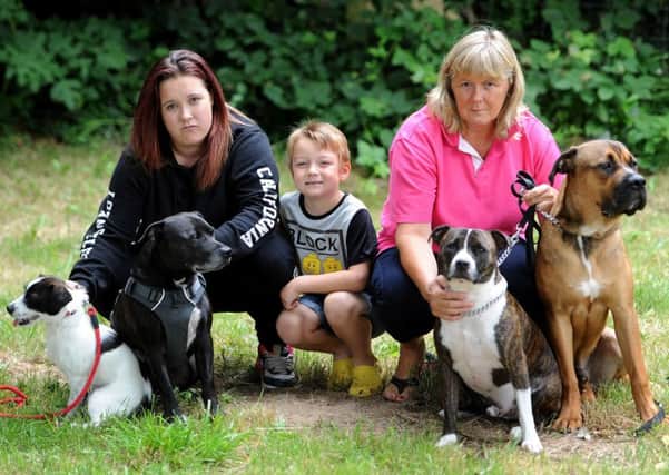 Fiona Pierce with her daughter Aimee, grandson Jake and their four dogs. Picture: Steve Robards