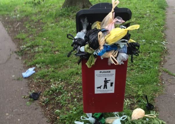 An overflowing dog poo bin in Furnace Green (photo submitted).