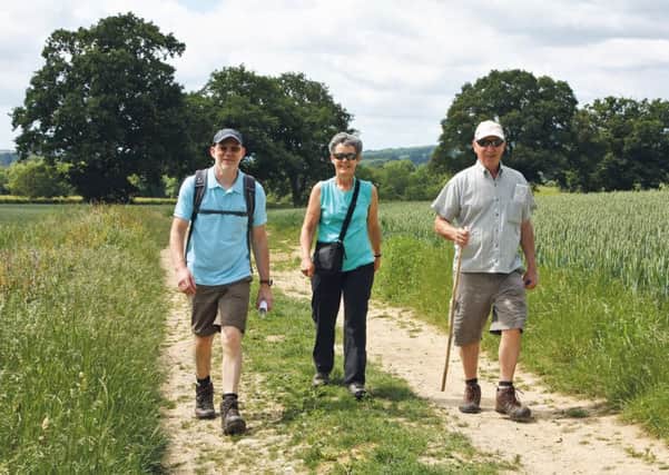 Sponsored walkers make their way across farmland during the Wey & Arun Canal Trust's 2017 Poddle.