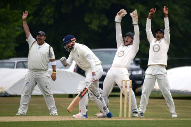 Cuckfield appeal for the wicket of Bexhill batsman Stuart Collier. Picture courtesy Andy Hodder
