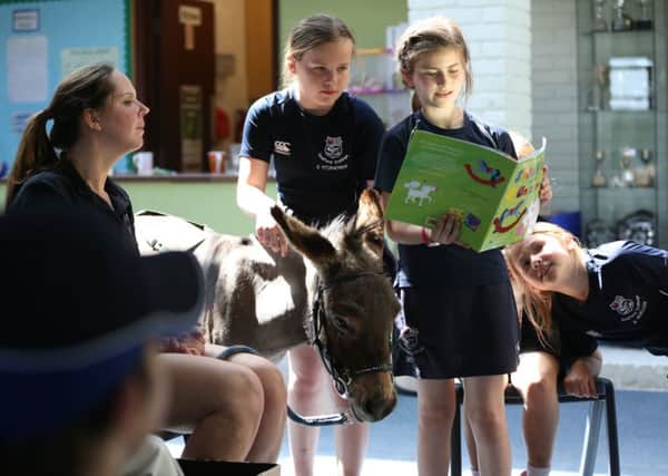 Seaford Prep School pupils reading to Mr Kipling