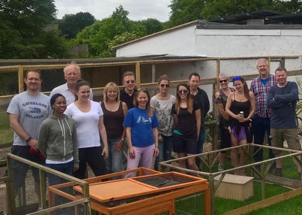 UK Power Networks volunteers give an animal sanctuary a makeover