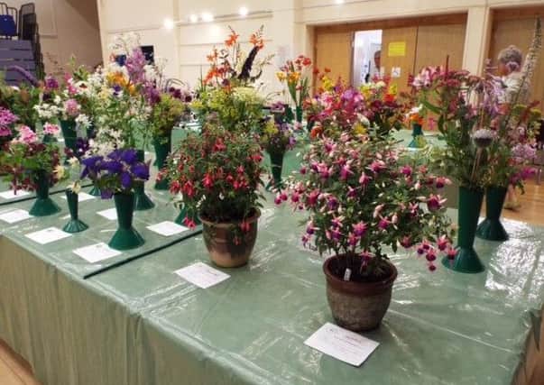 Battle Floral and Horticultural Society Summer Show