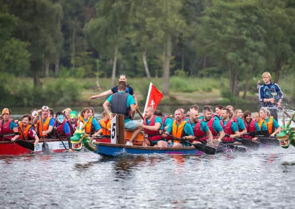 The Dragon Boat Festival returns on September 10. Picture: Brendan Foster