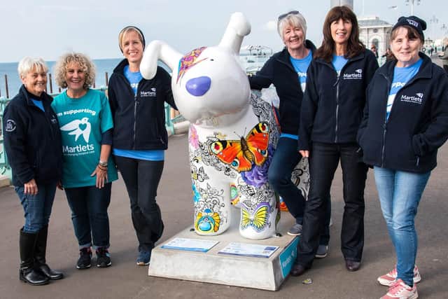 Snowdogs by the Sea raised funds and awareness for Martlets Hospice (Photograph: Liz Finlayson/Vervate)
