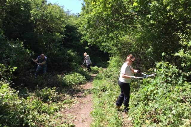 Volunteers work to clear the path for visitors